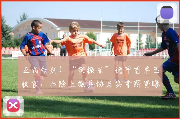 正式告别！“樊振东”德甲首季已收官，扣除上缴乒协后实拿薪资曝光_欧元_德国_合同