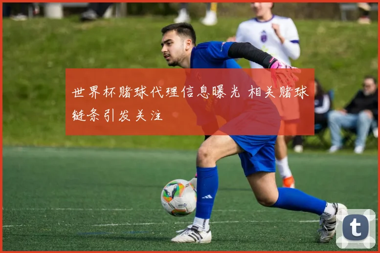 世界杯赌球代理信息曝光 相关赌球链条引发关注