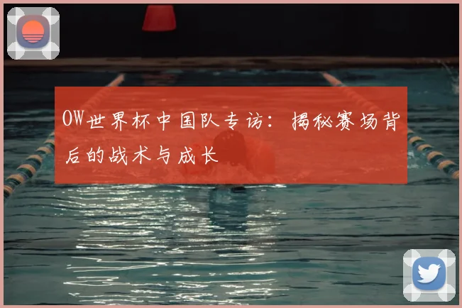 OW世界杯中国队专访：揭秘赛场背后的战术与成长