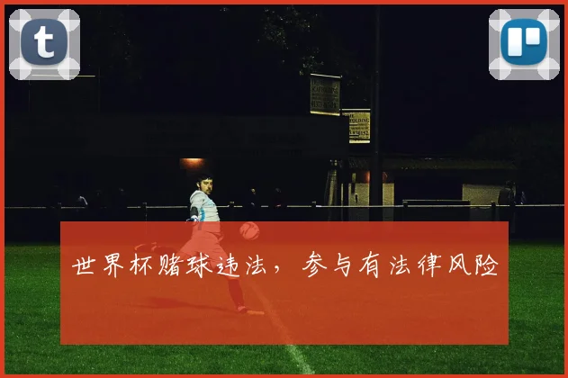 世界杯赌球违法,参与有法律风险