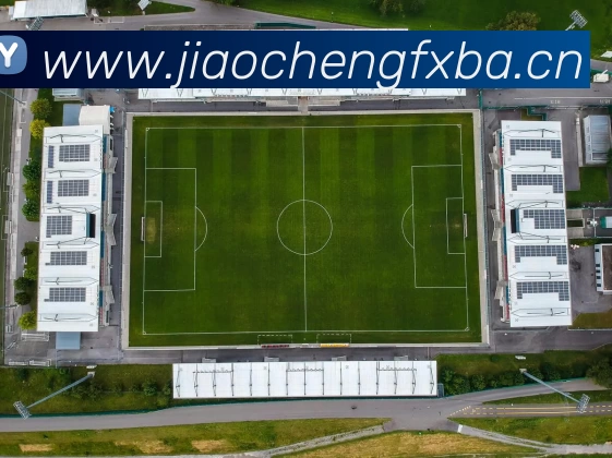 leyu乐鱼网页版在线登录平台生态图